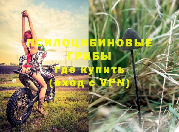 винт Абинск